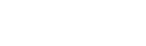 Wordego_Customers_(400x128)_Birbank
